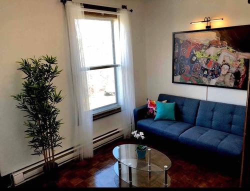 Studio à louer à Montreal - Mercier–Hochelaga-Maisonneuve — photo 3