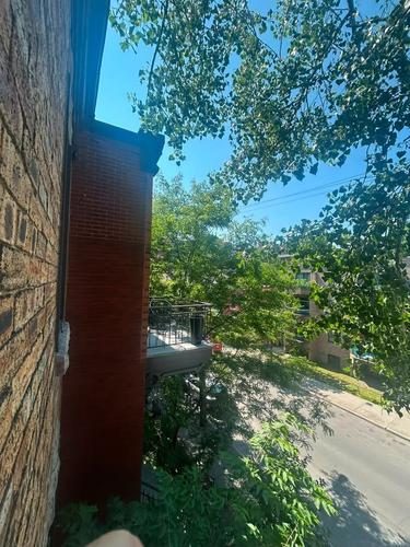 1 bedroom apartment for rent in Montreal - Le Plateau-Mont-Royal — photo 13