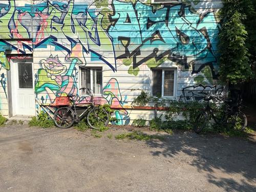 Studio à louer à Montreal - Le Plateau-Mont-Royal — photo 5