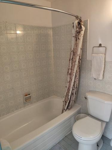 Studio for rent in Montreal - Ville-Marie — photo 10