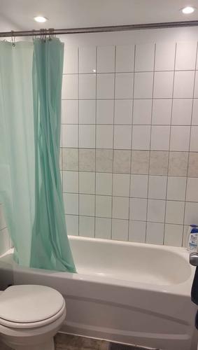 Studio for rent in Montreal - Le Plateau-Mont-Royal — photo 8