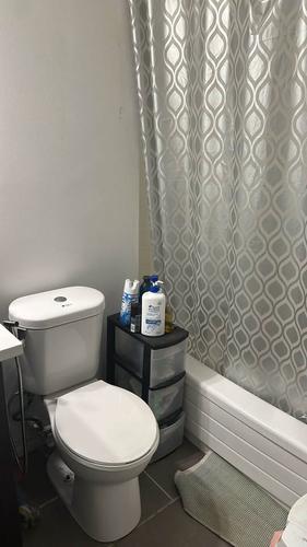 Appartement de 1 chambre à louer à Gatineau — photo 3