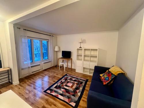1 bedroom apartment for rent in Montreal - Le Plateau-Mont-Royal — photo 10
