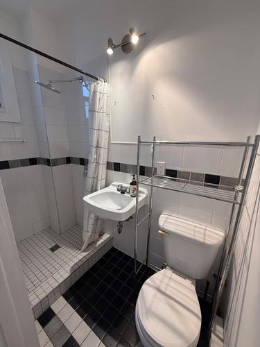 1 bedroom apartment for rent in Montreal - Le Plateau-Mont-Royal — photo 11