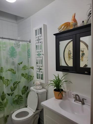 Appartement de 1 chambre à louer à Montreal - Le Plateau-Mont-Royal — photo 12