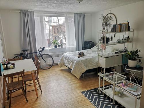 Studio à louer à Québec - La Cité-Limoilou — photo 4