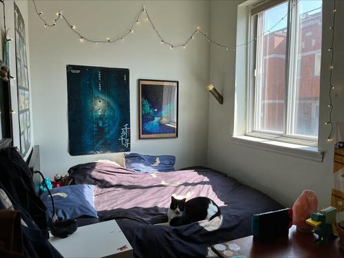 Appartement de 2 chambres à louer à Montreal - Le Plateau-Mont-Royal — photo 6