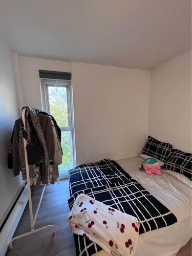 1 bedroom apartment for rent in Montreal - Le Plateau-Mont-Royal — photo 6