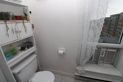 Appartement de 2 chambres à louer à Lévis — photo 7