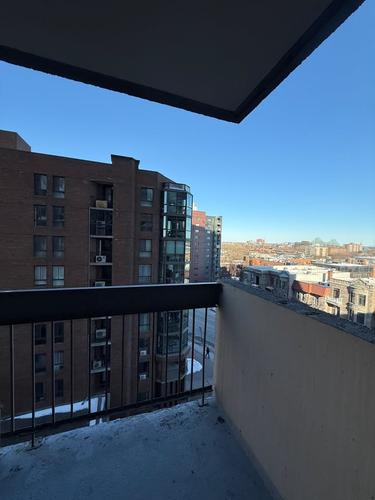 Studio for rent in Montreal - Le Plateau-Mont-Royal — photo 5