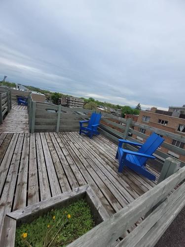 1 bedroom apartment for rent in Montreal - Le Plateau-Mont-Royal — photo 12