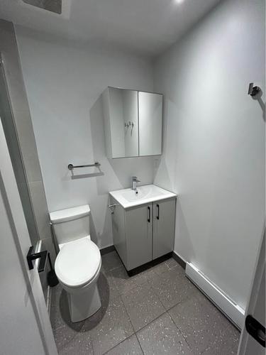 Appartement de 1 chambre à louer à Montreal - Saint-Laurent — photo 5