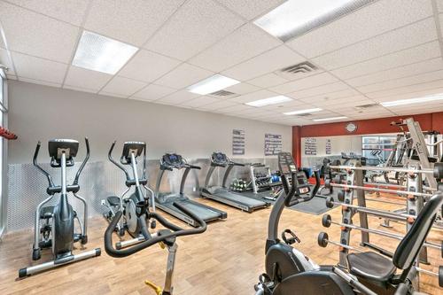 Appartement de 2 chambres à louer à Montreal - Le Plateau-Mont-Royal — photo 8