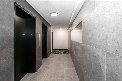 1 bedroom apartment for rent in Montreal - Le Plateau-Mont-Royal — photo 3