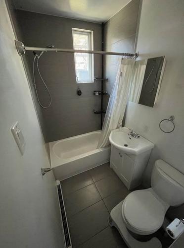 2 bedrooms apartment for rent in Montreal - Le Plateau-Mont-Royal — photo 3
