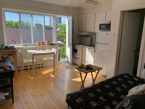 1 bedroom apartment for rent in Montreal - Le Plateau-Mont-Royal — photo 4