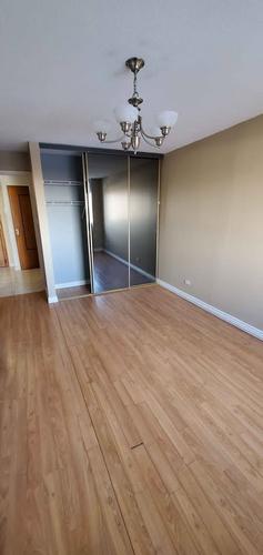Appartement de 1 chambre à louer à Montreal - Le Plateau-Mont-Royal — photo 3