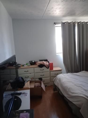 3 bedrooms apartment for rent in Longueuil — photo 7