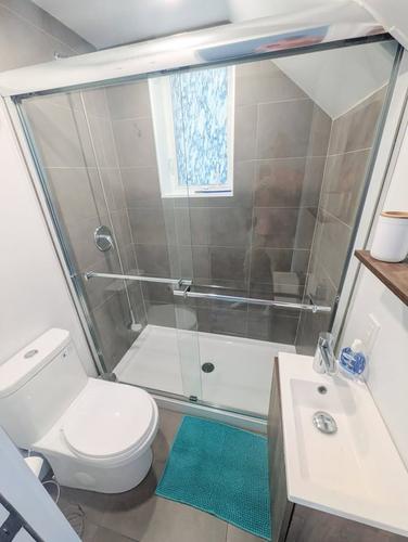 1 bedroom apartment for rent in Lévis — photo 15