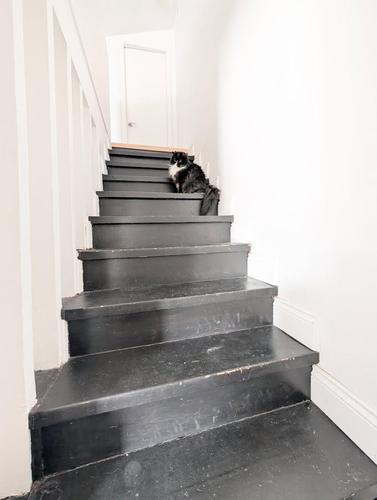 Appartement de 4 chambres à louer à Sherbrooke — photo 10