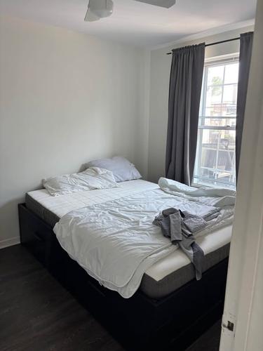 1 bedroom apartment for rent in Montreal - Le Plateau-Mont-Royal — photo 3
