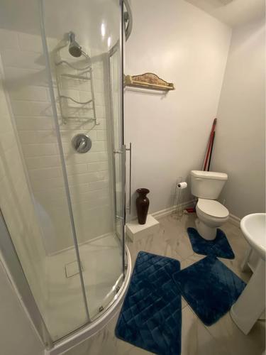 Studio à louer à Québec - Sainte-Foy–Sillery–Cap-Rouge — photo 4
