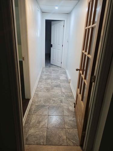 Appartement de 2 chambres à louer à Montreal - Rosemont–La Petite-Patrie — photo 5
