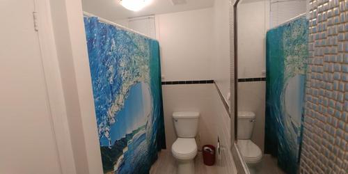 Studio à louer à Québec - Sainte-Foy–Sillery–Cap-Rouge — photo 3