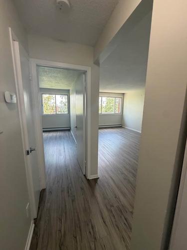 1 bedroom apartment for rent in Gatineau — photo 5