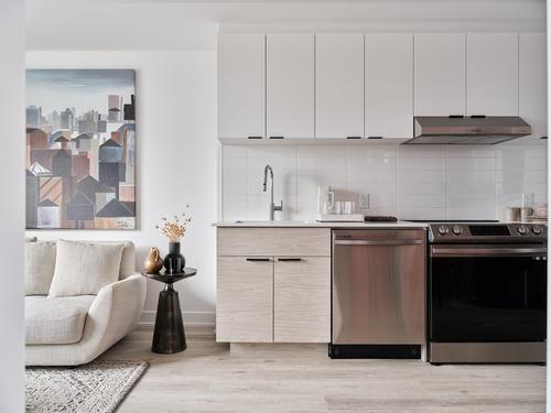 Appartement de 1 chambre à louer à Gatineau — photo 37