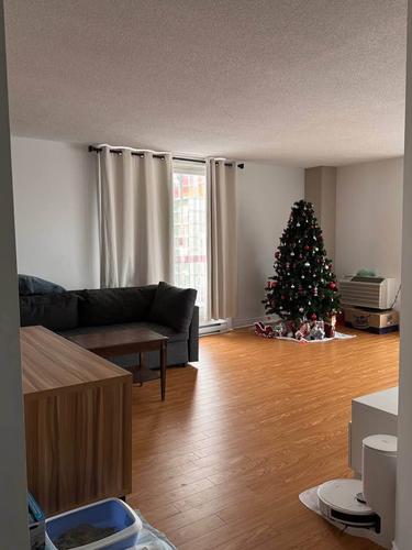 1 bedroom apartment for rent in Gatineau — photo 3