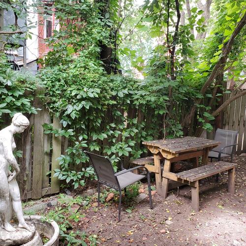 Studio à louer à Montreal - Le Plateau-Mont-Royal — photo 6