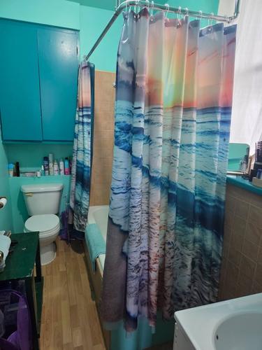 Appartement de 2 chambres à louer à Québec - La Cité-Limoilou — photo 3