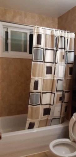 Appartement de 1 chambre à louer à Longueuil — photo 3