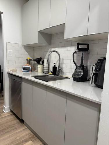 1 bedroom apartment for rent in Montreal - Rivière-des-Prairies–Pointe-aux-Trembles — photo 7