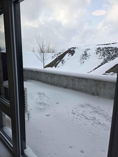 1 bedroom apartment for rent in Montreal - Rivière-des-Prairies–Pointe-aux-Trembles — photo 34