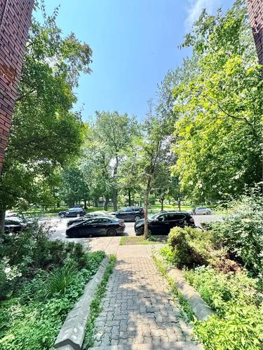 1 bedroom apartment for rent in Montreal - Le Plateau-Mont-Royal — photo 10