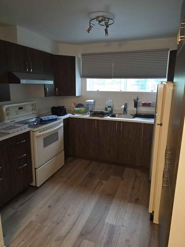 Appartement de 1 chambre à louer à Montreal - Rivière-des-Prairies–Pointe-aux-Trembles — photo 4