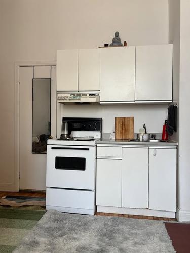 Appartement de 1 chambre à louer à Montreal - Le Plateau-Mont-Royal — photo 3