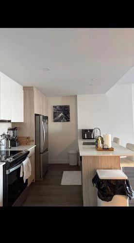 1 bedroom apartment for rent in Laval — photo 4