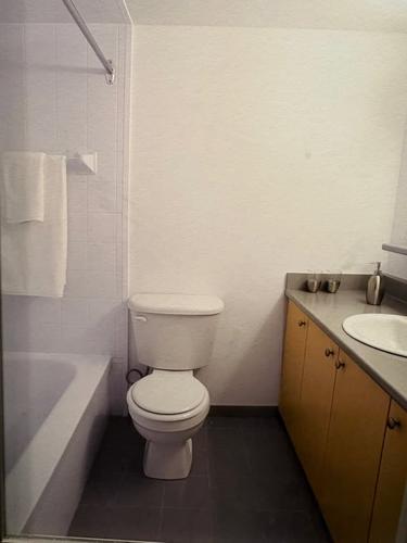 1 bedroom apartment for rent in Montreal - Ville-Marie — photo 4