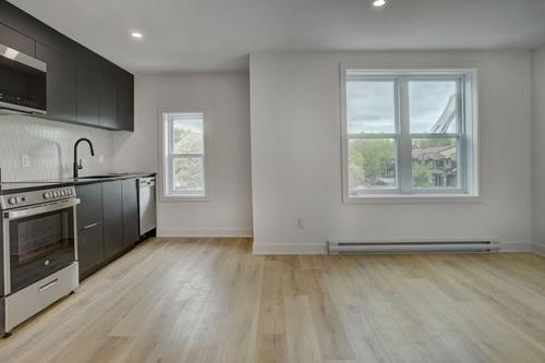 Appartement de 1 chambre à louer à Montreal - Rosemont–La Petite-Patrie — photo 7