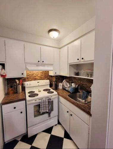 Appartement de 2 chambres à louer à Montreal - Rosemont–La Petite-Patrie — photo 6