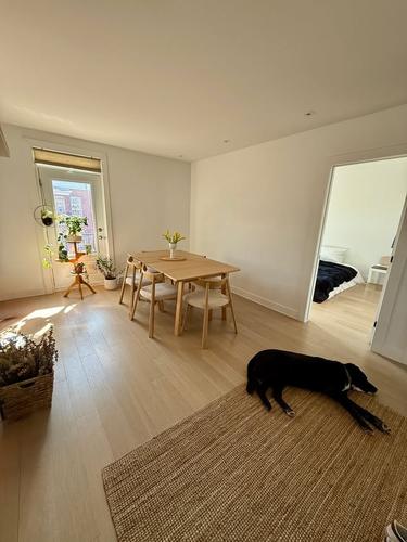4 bedrooms apartment for rent in Montreal - Le Plateau-Mont-Royal — photo 5