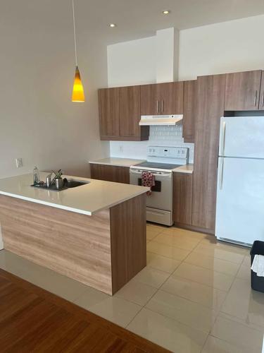1 bedroom apartment for rent in Montreal - Rosemont–La Petite-Patrie — photo 3