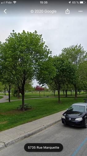 1 bedroom apartment for rent in Montreal - Rosemont–La Petite-Patrie — photo 3