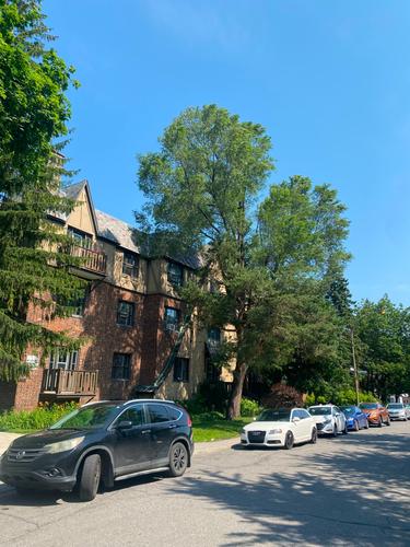 Studio à louer à Montreal - Côte-des-Neiges–Notre-Dame-de-Grâce — photo 9