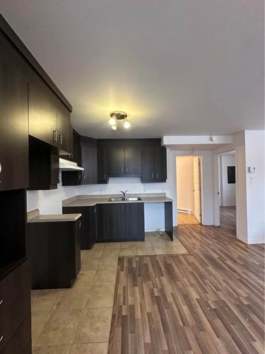 Appartement de 1 chambre à louer à Gatineau — photo 2