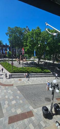 Appartement de 2 chambres à louer à Québec - La Cité-Limoilou — photo 15