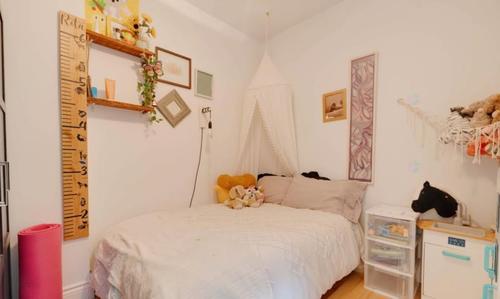 Appartement de 2 chambres à louer à Montreal - Le Plateau-Mont-Royal — photo 5